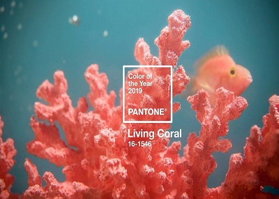Pantone2019年度代表色Living Coral（活珊瑚橘）